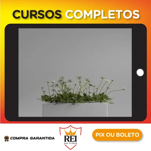 Shading no Blender para Iniciantes - Rafael Vallaperde