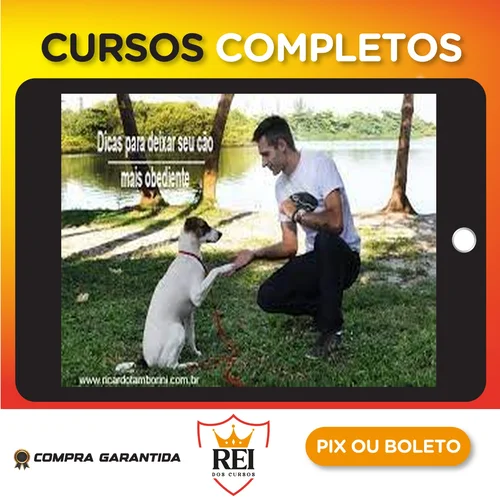 Desafio Cão Obediente - Marcelo Bessa