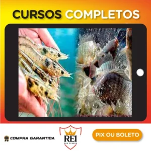 Criação de Camarão Marinho e Tilápias em Bioflocos: Longe do Mar em Tanques de Geomembrana e Ferrocimento - My Fish World